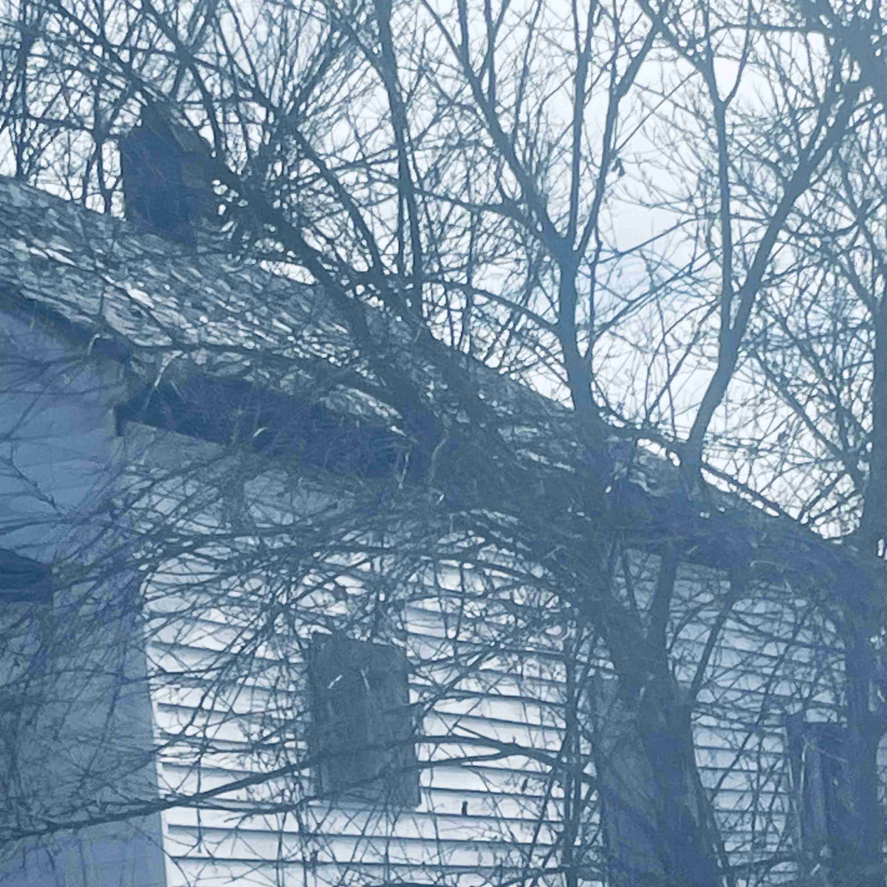 12484 Loretto (13).jpg